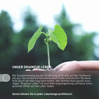 Draineur Leber, zur Unterstützung des Leberstoffwechsels, 60 Kapseln
